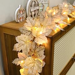Timer pack fall for sale  Delivered anywhere in USA 