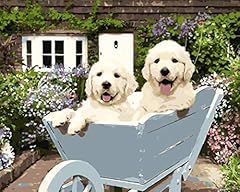 Dqgzyf trolley animal for sale  Delivered anywhere in UK