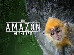 Amazon east for sale  Delivered anywhere in USA 