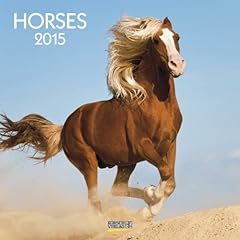 Horses 2015 usato  Spedito ovunque in Italia 