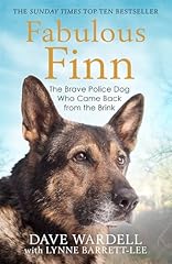 Fabulous finn brave for sale  Delivered anywhere in UK