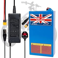 Dayaoenne 48v 20ah for sale  Delivered anywhere in UK