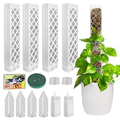 Moss pole plastica usato  Spedito ovunque in Italia 