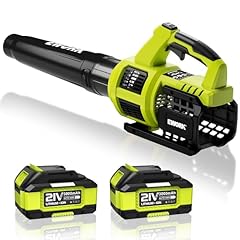 Ework cordless leaf for sale  Delivered anywhere in USA 