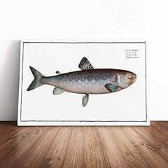 Goeden salmon fish for sale  Delivered anywhere in UK