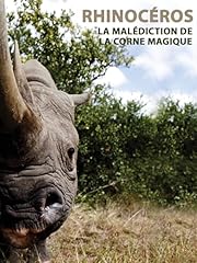 Rhinocéros malédiction corne d'occasion  Livré partout en France