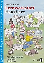 Lernwerkstatt haustiere fäche gebraucht kaufen  Wird an jeden Ort in Deutschland