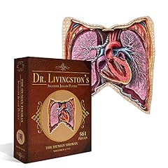 Human thorax anatomy for sale  Delivered anywhere in USA 