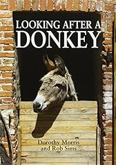 Looking donkey for sale  Delivered anywhere in UK