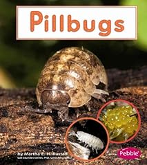Pillbugs for sale  Delivered anywhere in UK