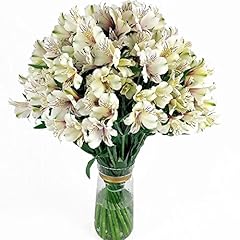 Fresh flowers every for sale  Delivered anywhere in USA 