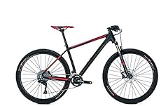 Mountain bike focus usato  Spedito ovunque in Italia 