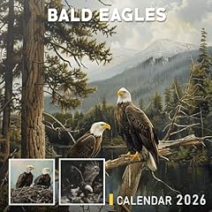 Bald eagles calendar for sale  Delivered anywhere in UK