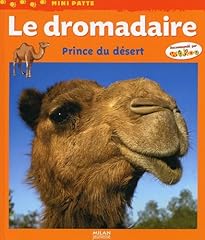 Dromadaire prince désert d'occasion  Livré partout en France