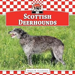 Scottish deerhounds for sale  Delivered anywhere in UK