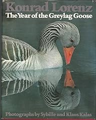 Year greylag goose for sale  Delivered anywhere in USA 
