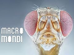 Macro mondi usato  Spedito ovunque in Italia 