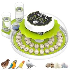 Quail egg incubator for sale  Delivered anywhere in USA 