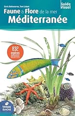Faune flore mer d'occasion  Livré partout en France