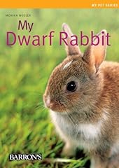 Dwarf rabbit by d'occasion  Livré partout en France