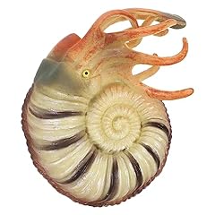 Simulated nautilus botanical for sale  Delivered anywhere in UK