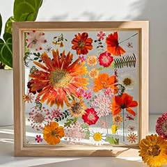 Pressed flower frame for sale  Delivered anywhere in USA 