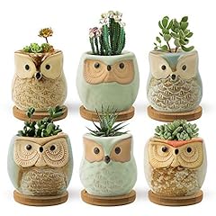FairyLavie Succulent Pots, 6CM Owl Planter Owl Pot,, used for sale  Delivered anywhere in UK