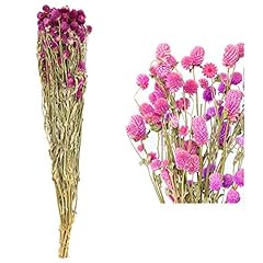 Mihuage dried flower for sale  Delivered anywhere in USA 
