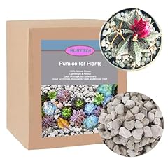 Horticultural pumice plants for sale  Delivered anywhere in USA 
