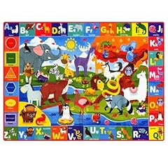 Quokka small classroom for sale  Delivered anywhere in USA 