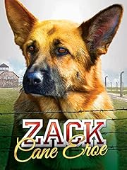 Zack cane eroe usato  Spedito ovunque in Italia 