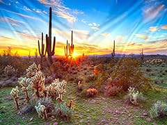 Tucocoo arizona desert for sale  Delivered anywhere in USA 