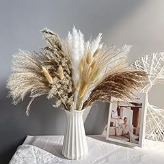Natural dried pampas for sale  Delivered anywhere in UK
