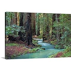 Redwood forest canvas for sale  Delivered anywhere in USA 