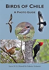 Birds chile photo for sale  Delivered anywhere in USA 