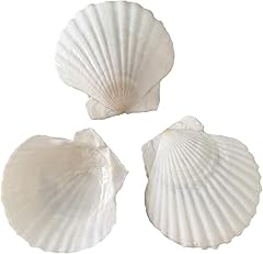 Seajiayi pcs inch for sale  Delivered anywhere in USA 