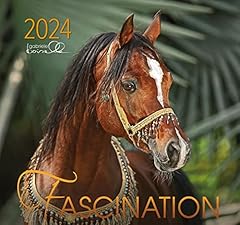 Fascination 2024 arabische gebraucht kaufen  Wird an jeden Ort in Deutschland