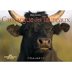 Camargue taureaux d'occasion  Livré partout en France