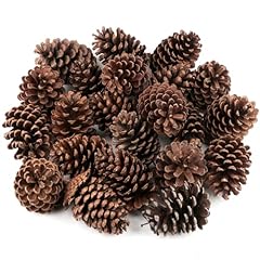 24pcs large natural for sale  Delivered anywhere in UK