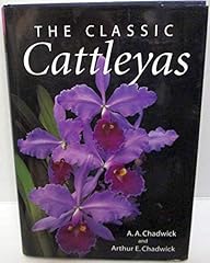 Classic cattleyas for sale  Delivered anywhere in UK