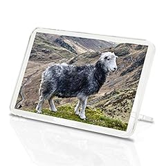 Herdwick sheep classic for sale  Delivered anywhere in Ireland