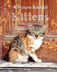 Picture book kittens for sale  Delivered anywhere in UK