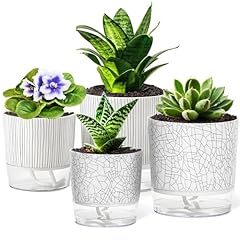 Pack self watering for sale  Delivered anywhere in USA 