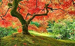 Pintoo jigsaw puzzles for sale  Delivered anywhere in USA 