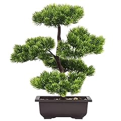 Aivoriuy bonsai baum gebraucht kaufen  Wird an jeden Ort in Deutschland