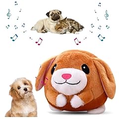 Active moving pet for sale  Delivered anywhere in USA 