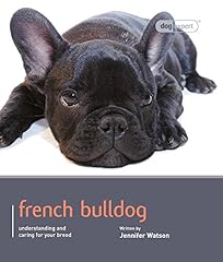 French bulldog dog d'occasion  Livré partout en France