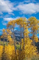 San juan mountain for sale  Delivered anywhere in USA 