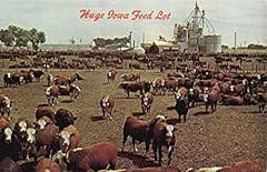 Huge iowa feed for sale  Delivered anywhere in USA 