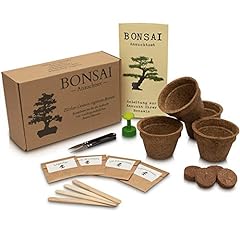 ANISTA – Set per la coltivazione di bonsai – Coltiva i tuoi alberi di bonsai – 4 varietà di semi di bonsai nel nostro set completo di piante. Bella idea regalo per tutte le occasioni. usato  Spedito ovunque in Italia 